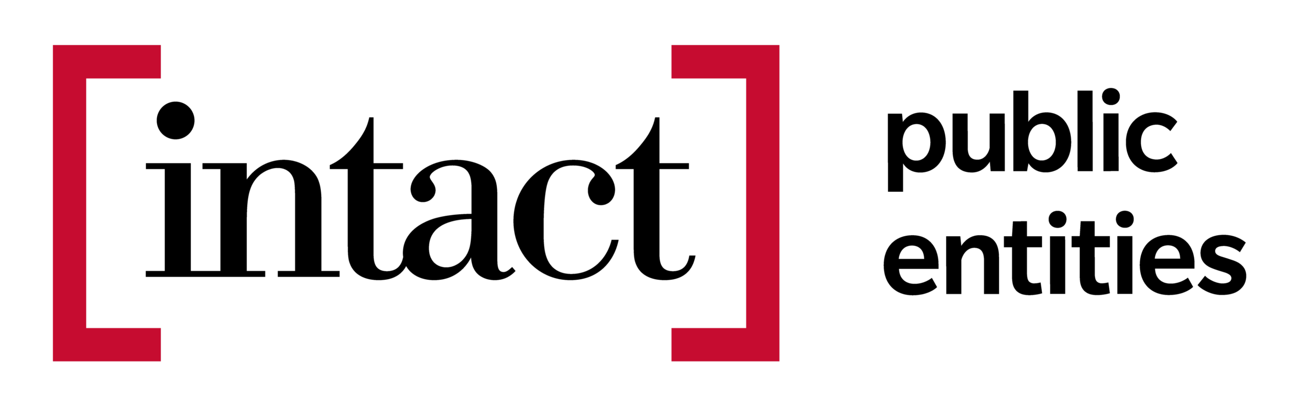 intact public entities Logo
